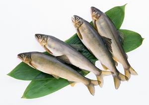 2026年最新！高級弁当配達サービス徹底比較と選び方ガイド